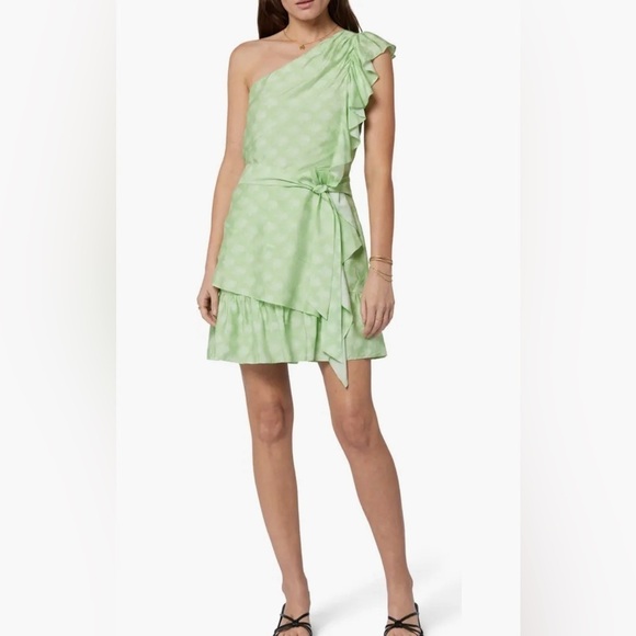 NWT Joie Size 4 Dress Nerea Quiet Green and Porcelain - Picture 1 of 6